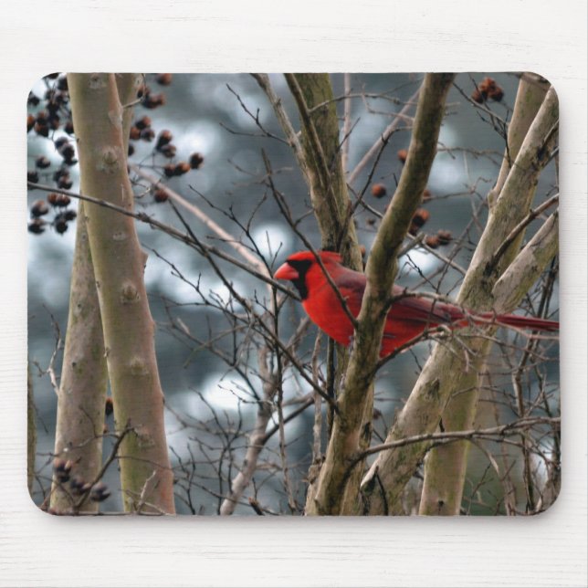 Male Cardinal Concentrating Mouse Pad (Front)
