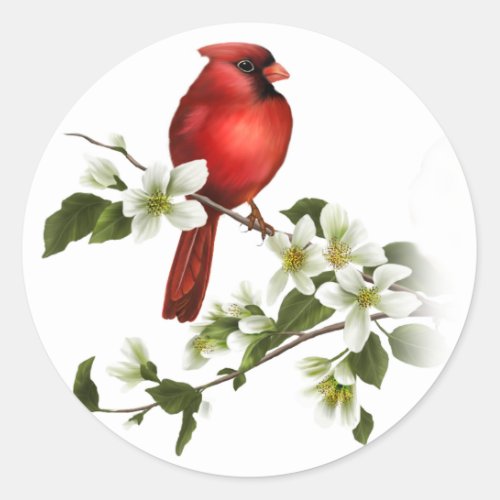 Male Cardinal Dogwood Blossoms Branch Sticker