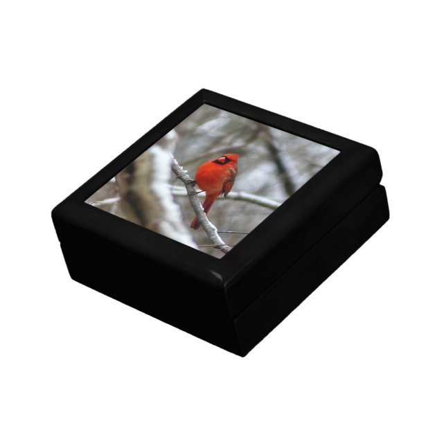 Male Cardinal Gift Box (Side)