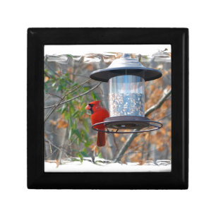 Male Cardinal Gift Box