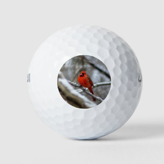 Male Cardinal Golf Balls (Front)