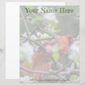 Male Cardinal in Springtime (Front/Back)