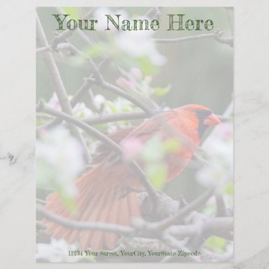 Male Cardinal in Springtime (Front)