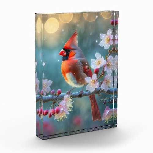Male Cardinal in the Moonlight Cherry Blossoms Photo Block