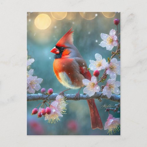 Male Cardinal in the Moonlight Cherry Blossoms Postcard