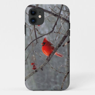 Male cardinal iPhone 5 case