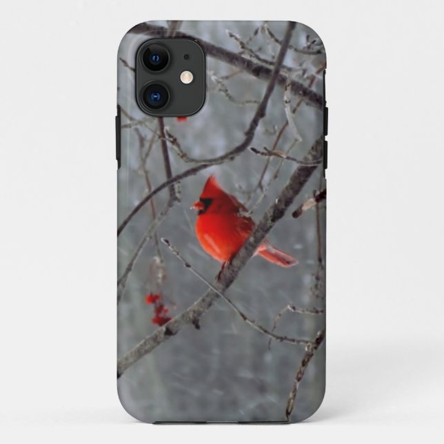 Male cardinal iPhone 5 case (Back)