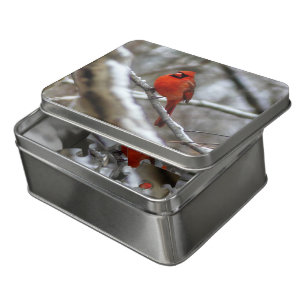 Male Cardinal Jigsaw Puzzle