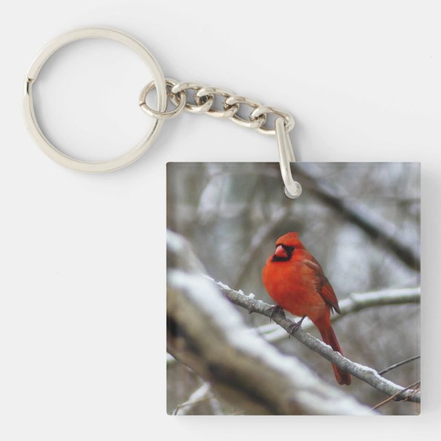 Male Cardinal Keychain (Front)