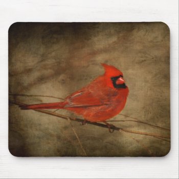 Male Cardinal Mousepad by LoisBryan at Zazzle