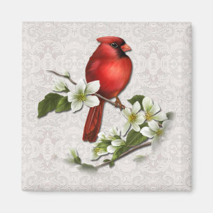 Male Cardinal on Dogwood Magnet