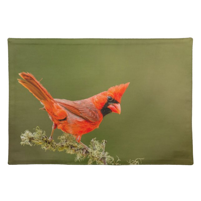 Male Cardinal on Limb Cloth Placemat (Front)