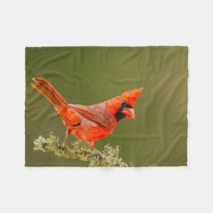 Male Cardinal Bird Fleece Blanket