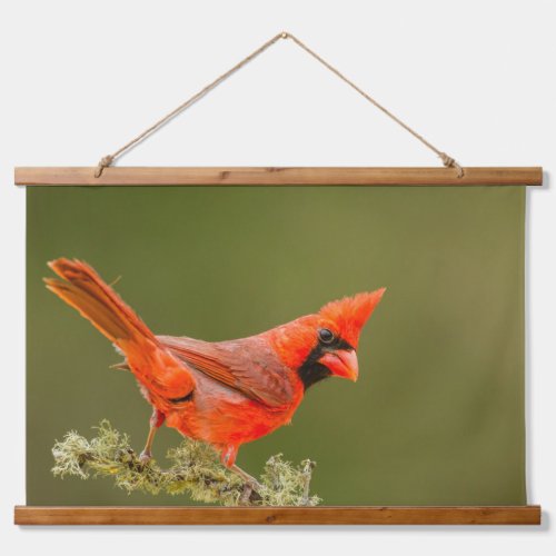 Male Cardinal on Limb Hanging Tapestry