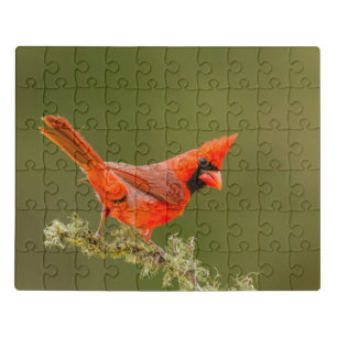Male Cardinal on Limb Jigsaw Puzzle