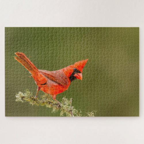 Male Cardinal on Limb Jigsaw Puzzle