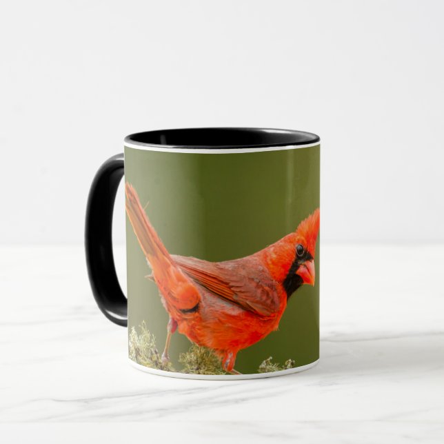 Male Cardinal on Limb Mug (Front Left)
