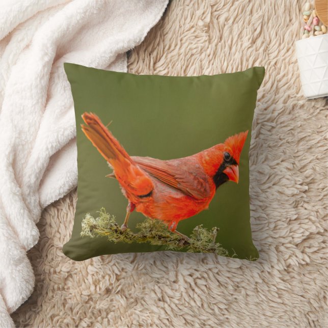 Male Cardinal on Limb Throw Pillow (Blanket)