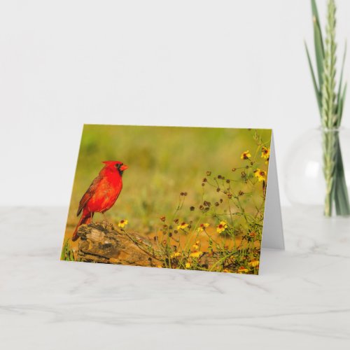 Male Cardinal on Log Card