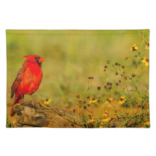 Male Cardinal on Log Cloth Placemat