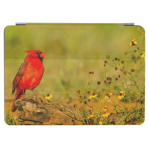Male Cardinal on Log iPad Air Cover