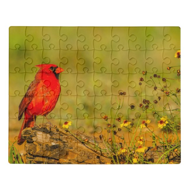 Male Cardinal on Log Jigsaw Puzzle (Puzzle Horizontal)