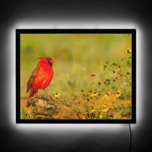 Male Cardinal on Log LED Sign
