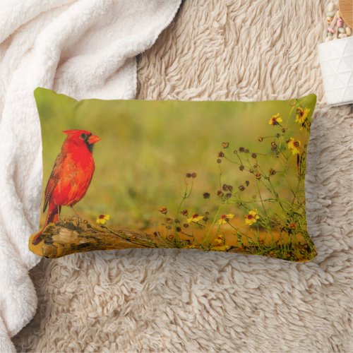 Male Cardinal on Log Lumbar Pillow