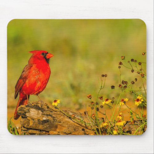 Male Cardinal on Log Mouse Pad