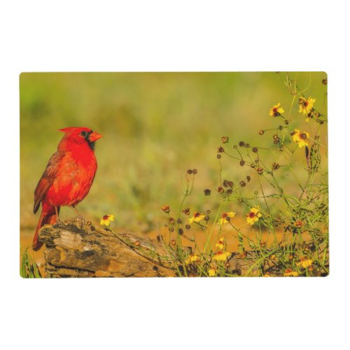 Male Cardinal on Log Placemat