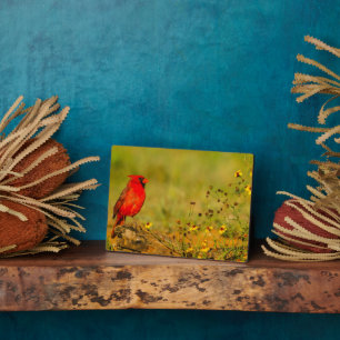 Male Cardinal on Log Plaque