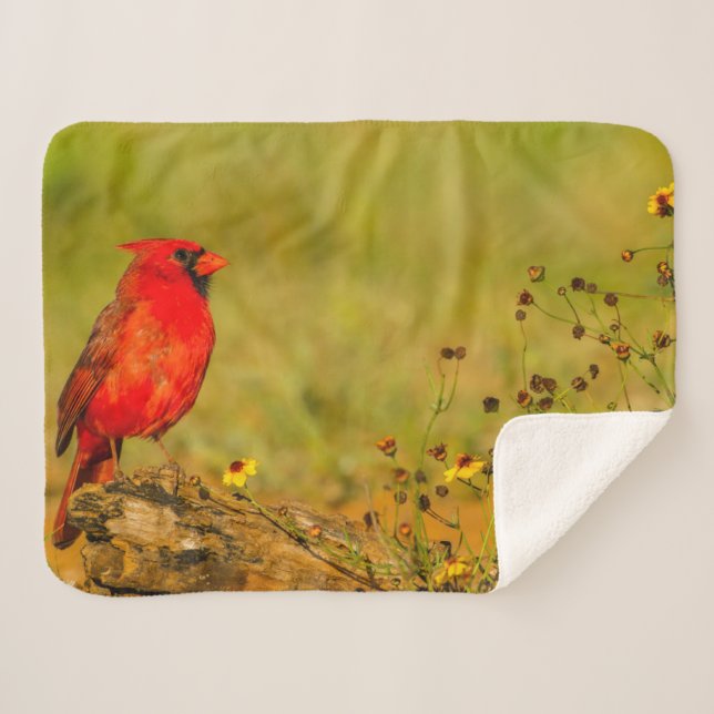 Male Cardinal on Log Sherpa Blanket (Front (Horizontal))