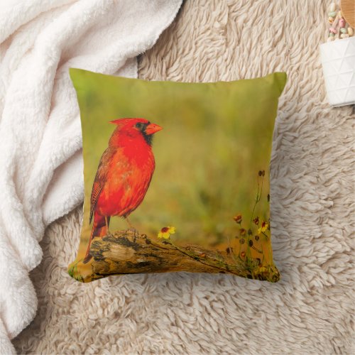 Male Cardinal on Log Throw Pillow