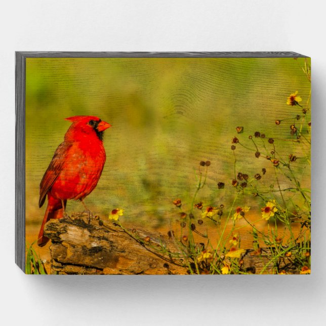 Male Cardinal on Log Wooden Box Sign (Front Horizontal)