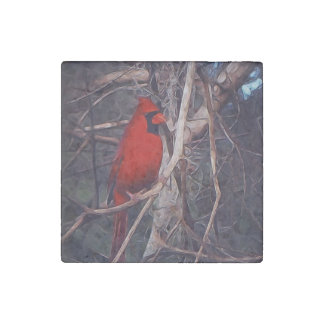 Male Cardinal on marble Stone Magnet