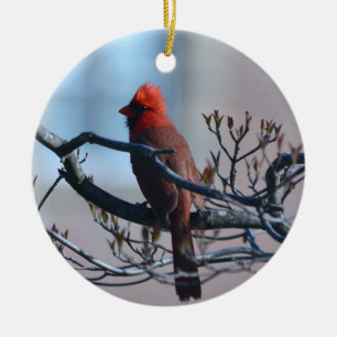 Male Cardinal Ornament