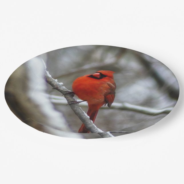 Male Cardinal Paper Plates (Angled)