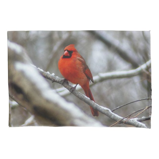 Male Cardinal Pillow Case (Front)
