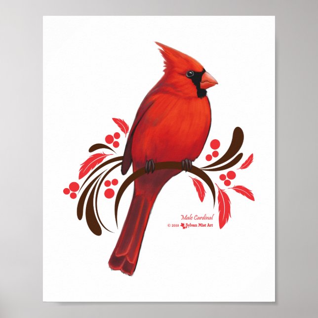 Male Cardinal Poster (Front)
