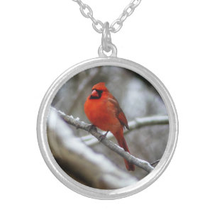 Male Cardinal Silver Plated Necklace