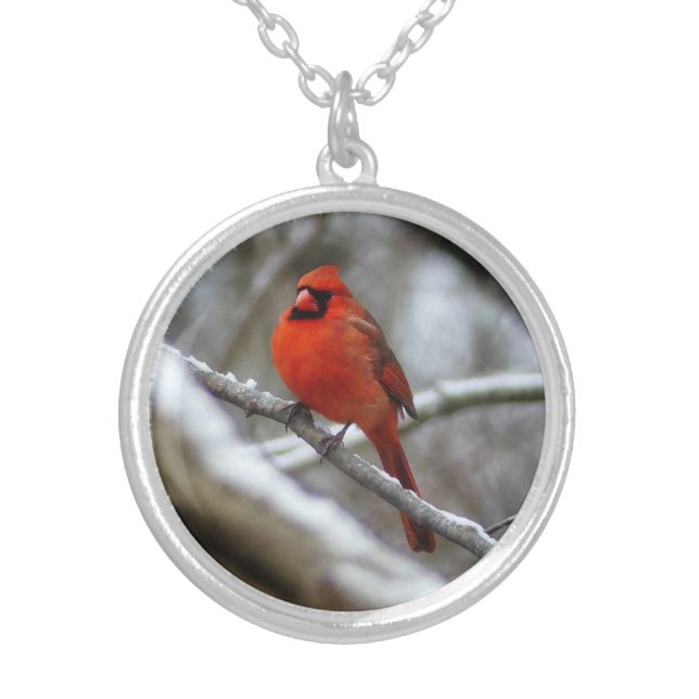 Male Cardinal Silver Plated Necklace (Front)