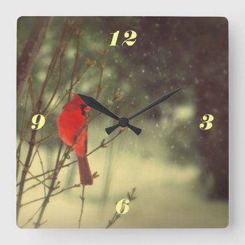 Male Cardinal Square Wall Clock by Vanillaextinctions at Zazzle