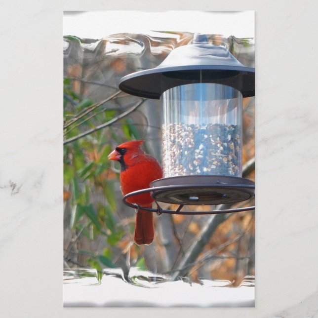 Male Cardinal Stationery (Front)