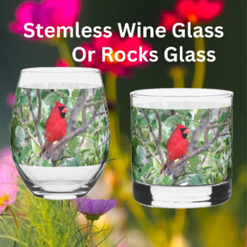 Male Cardinal Stemless Wine Glass Or Rocks Glass by CatsEyeViewGifts at Zazzle