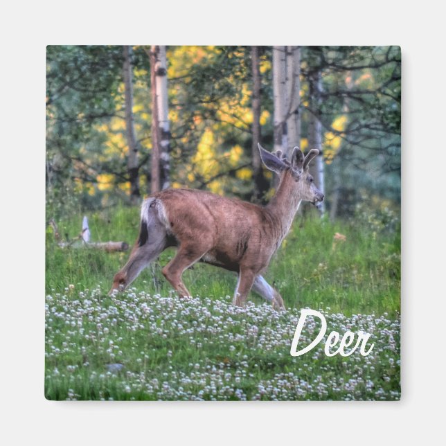 Male Deer (Buck) and Clover Wildlife Animal Magnet (Front)
