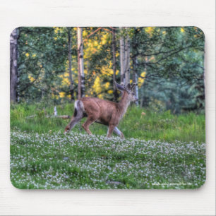 Male Deer Buck on Ranch Wildlife Photo Mouse Pad