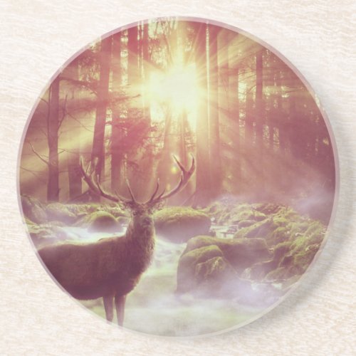 Male Deer in Misty Woods at Sunrise Golden Hour Coaster