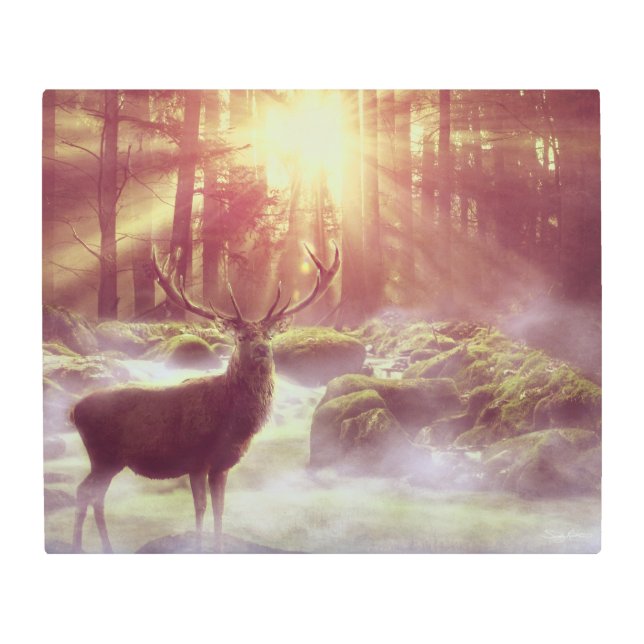 Male Deer in Misty Woods at Sunrise Golden Hour Metal Print (Front)