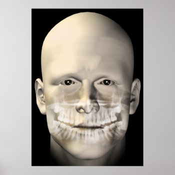 Male Dental Scan Poster by sirylok at Zazzle