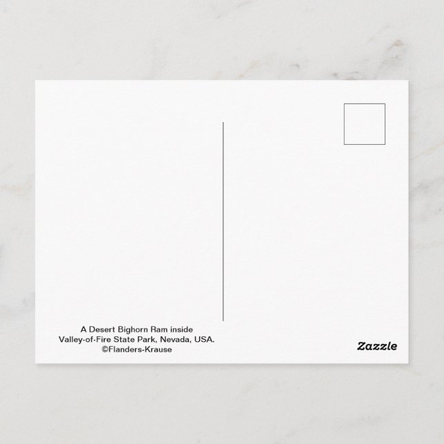 Male Desert Bighorn Sheep - III Postcard (Back)